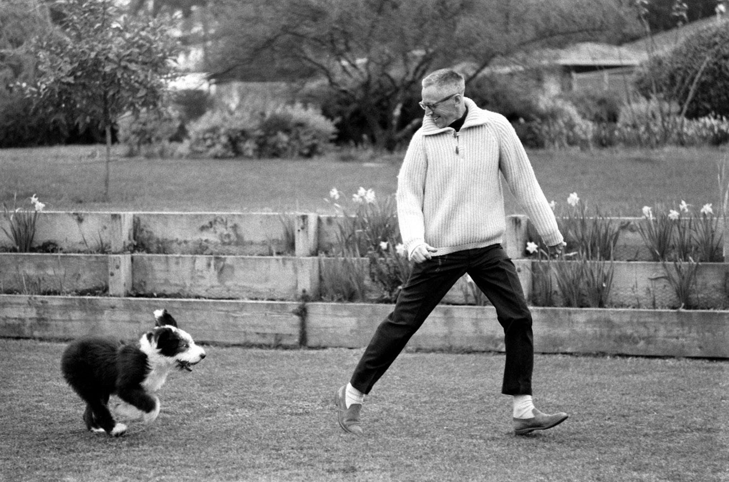Charles Schulz with one of his family's five dogs in California in 1967.