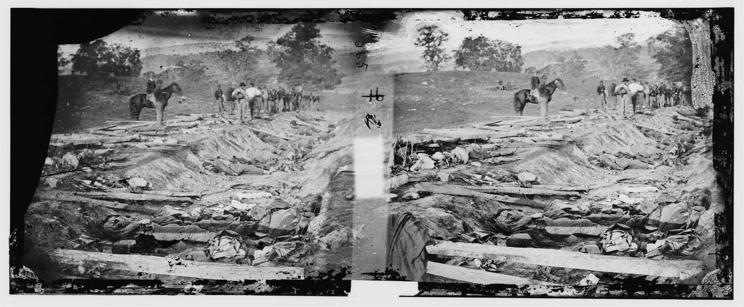 Confederate dead in a ditch on the right wing used as a rifle pit.