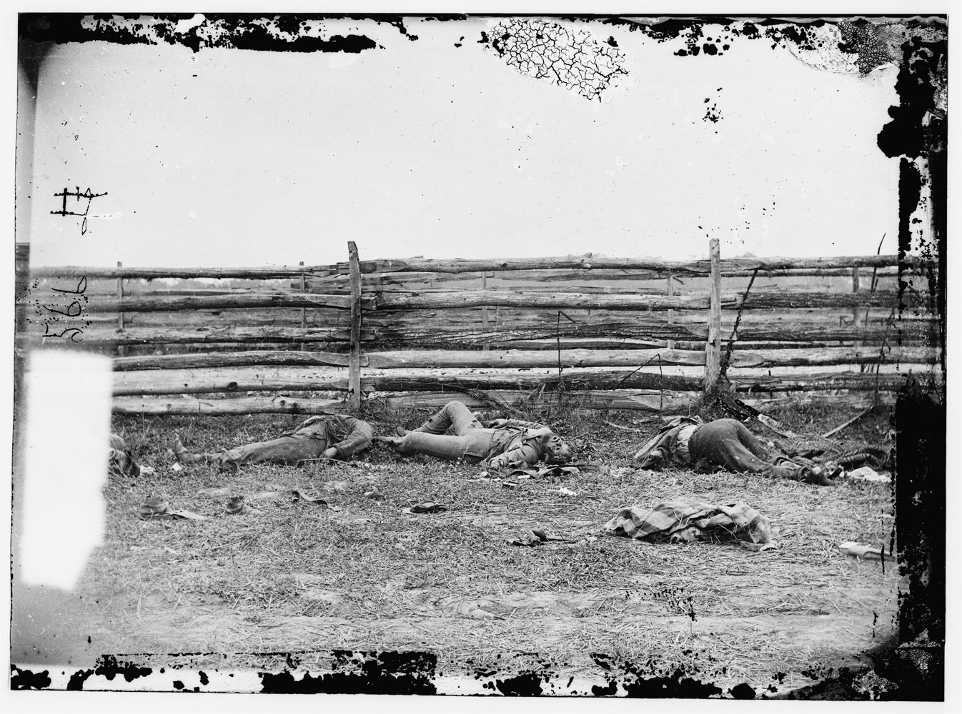 Dead of Stonewall Jackson's Brigade by rail fence on the Hagerstown pike.