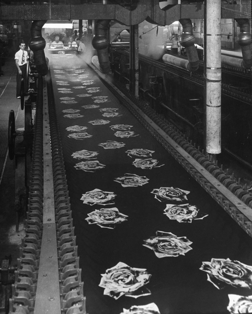 Yards of rayon embellished with enlarged photographs of rose are stretched on frame during manufacture . The cloth was previously dipped in sensitizing solution, squeezed with rollers, exposed and developed.