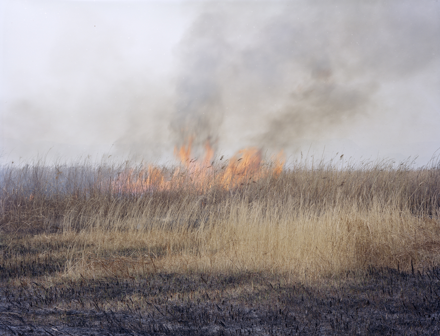 image: Wetlands burning, Shaanxi province.
