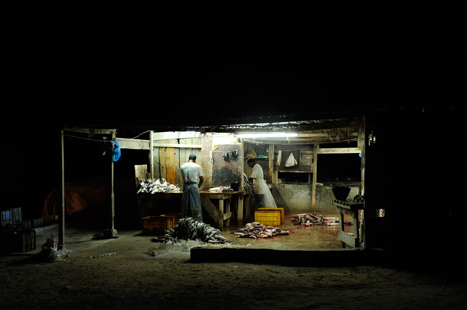 At a compound situated at the edge of the Arabian Sea, workers process sharks after sunset.