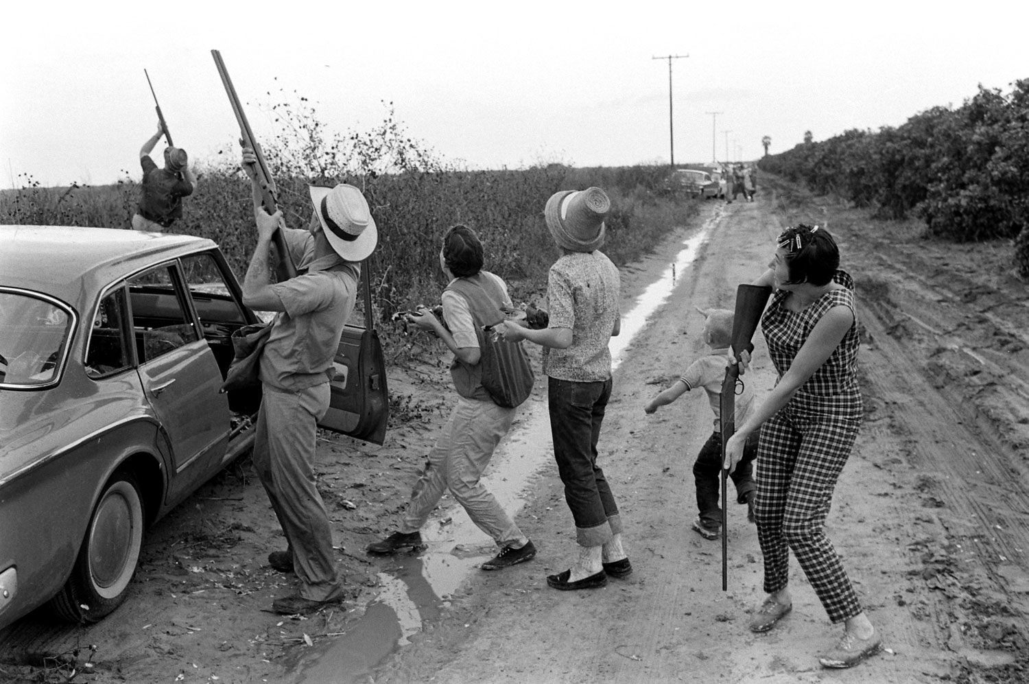White-wing dove hunting in Texas, 1961.