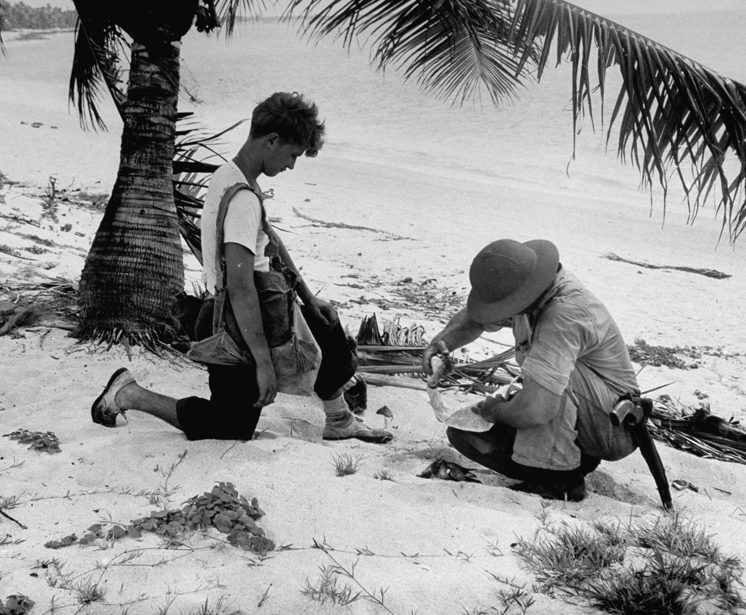 Gathering up dead birds on a South Pacific island for radiation testing, 1946.