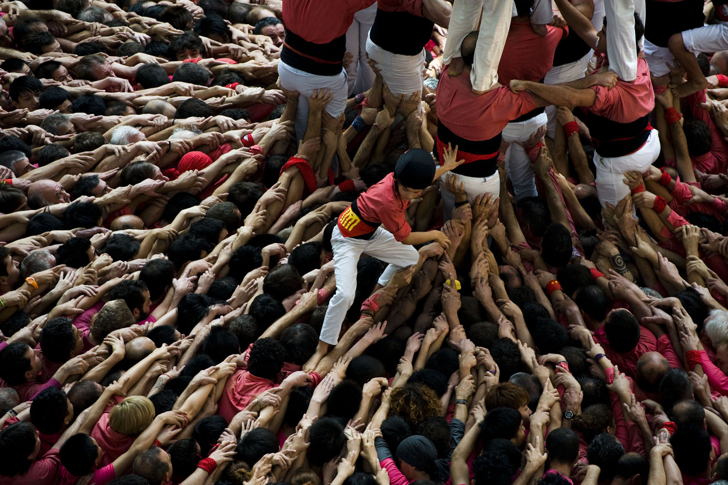 Oct. 7, 2012. A young member of the Colla 'Vella de Valls' descends after bulding a human tower during the 24th Tarragona Castells Competition in Tarragona, Spain.