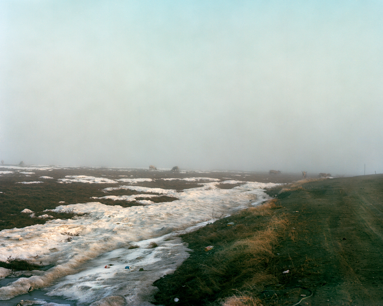 Mile 423.
                              Caribou and Garbage in Fog, 2010.