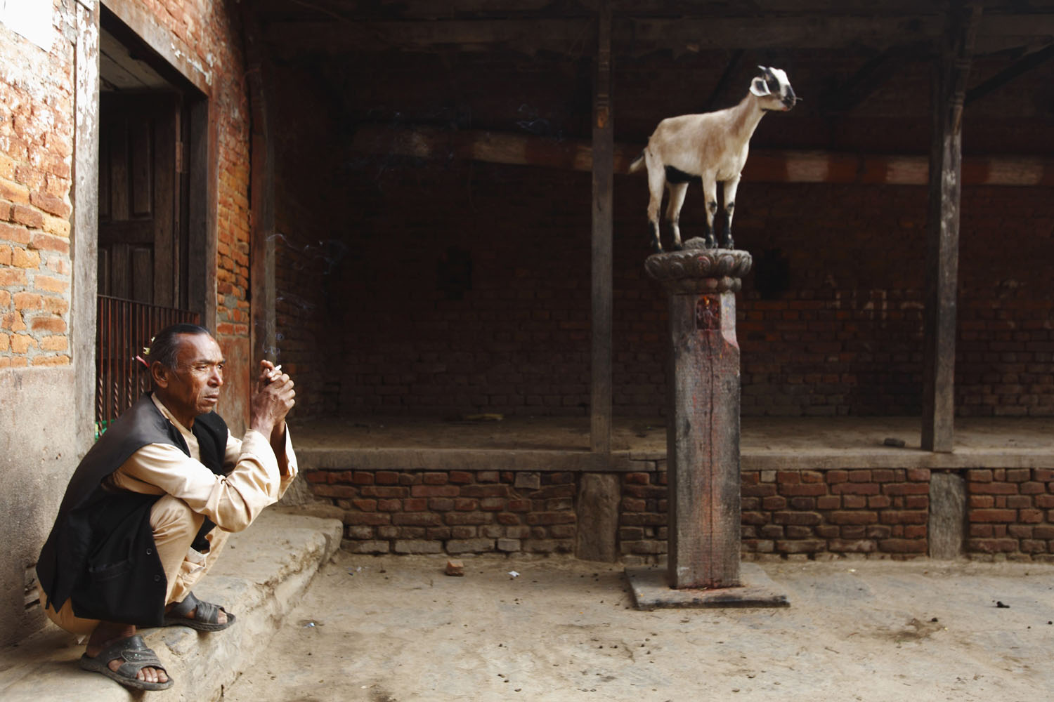 Oct. 9, 2012. A man smokes a cigarette near a goat standing on a pole of a temple at Khokana in Lalitpur, Nepal.