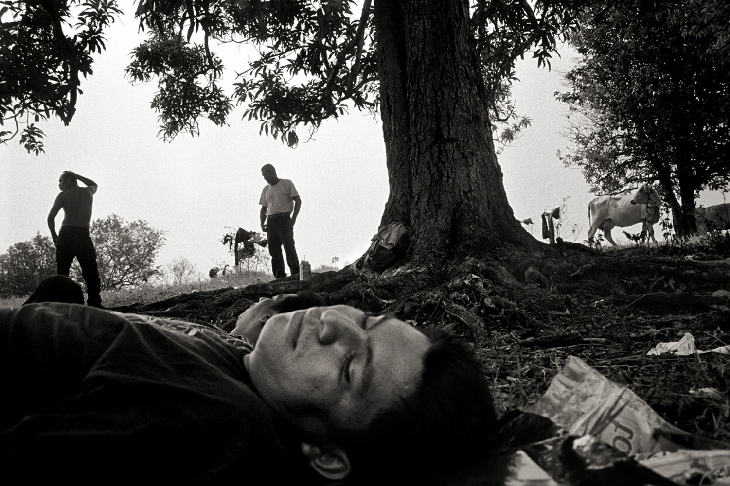 Jon Lowenstein was a 2012 finalist for the Eugene Smith Grant for his project Shadow Lives USA.
                              Four Guatemalan migrants nap under a giant mango tree on the outskirts of Tenosique, Mexico. For many Central American migrants Tenosique is a resting point before they hop on the freight trains going north to the U.S./Mexico border. These men all made it into the United States. Shortly after this photograph was taken the freight company that ran the trains for more than a century closed the company and abandoned running freight. For months the train didn’t run, but recently a Japanese company once again started running freight from Central America to Mexico.