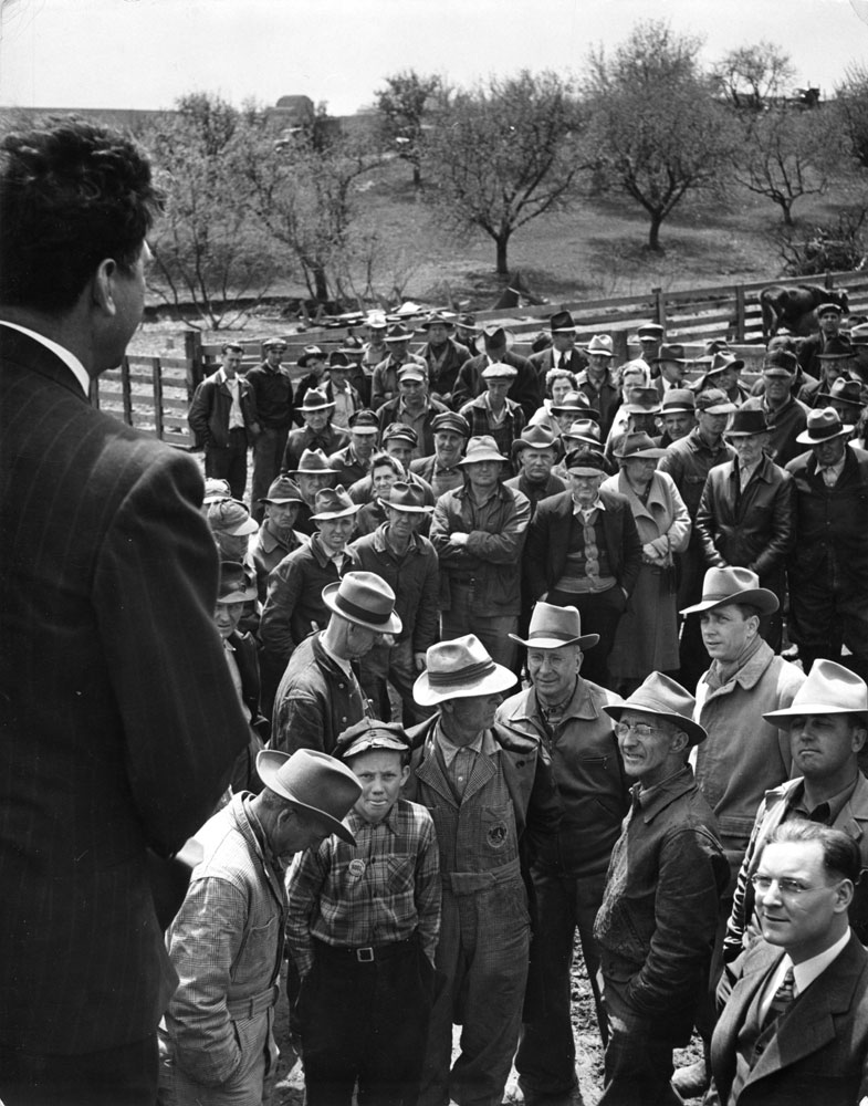 Cleveland mayor and gubernatorial candidate Frank Lausche with farmers at a downstate Ohio auction, 1944.