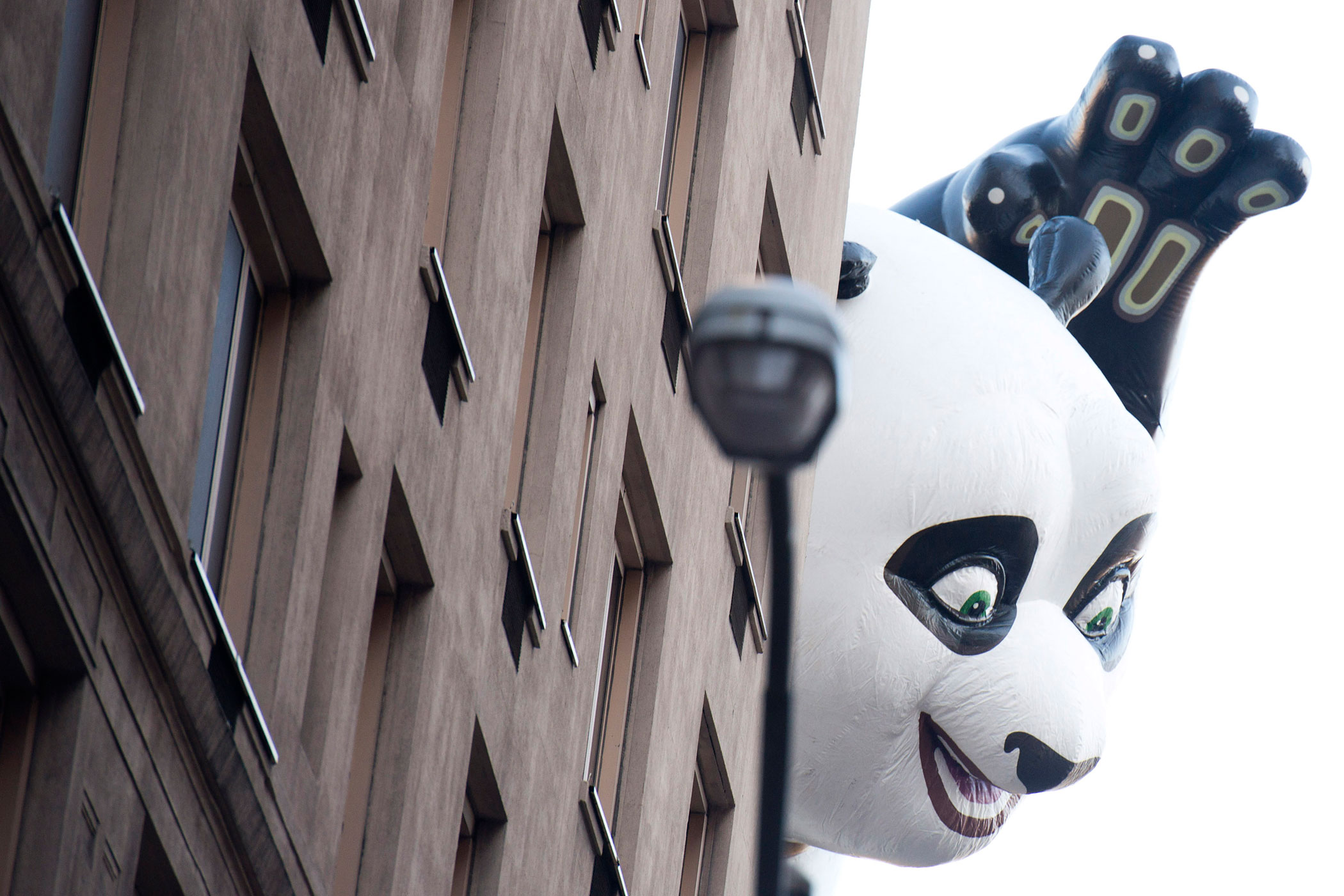 image: Nov. 22, 2012. The Kung Fu Panda balloon floats in the Macy's Thanksgiving Day Parade in New York City.