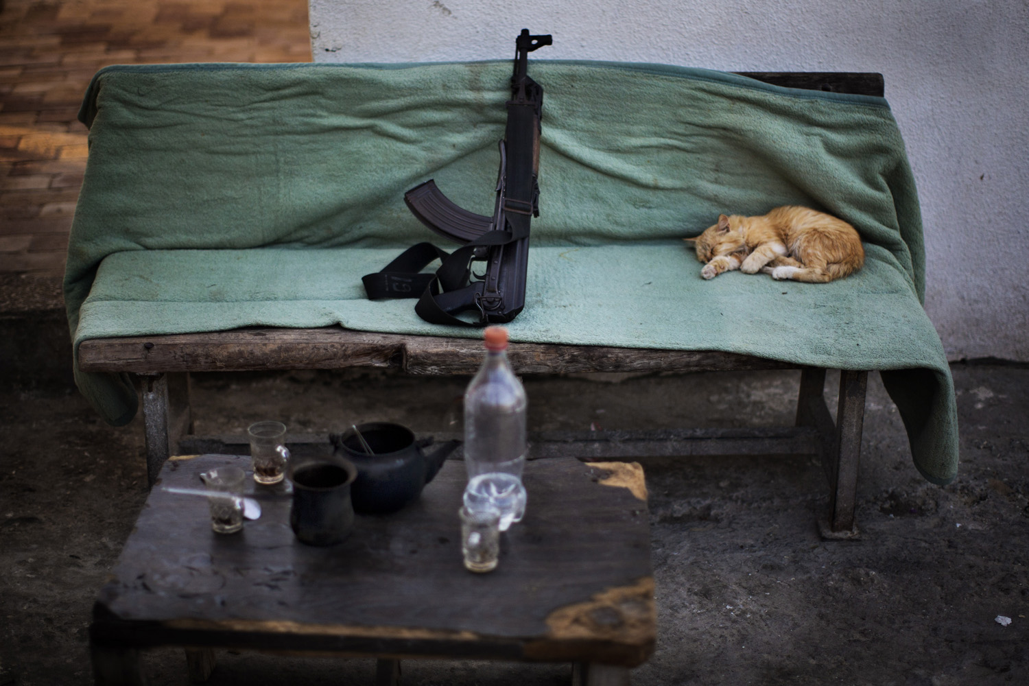 Image: Oct. 30, 2012. A cat sleeps next to a Kalashnikov on a Hamas security check point in Gaza City.
