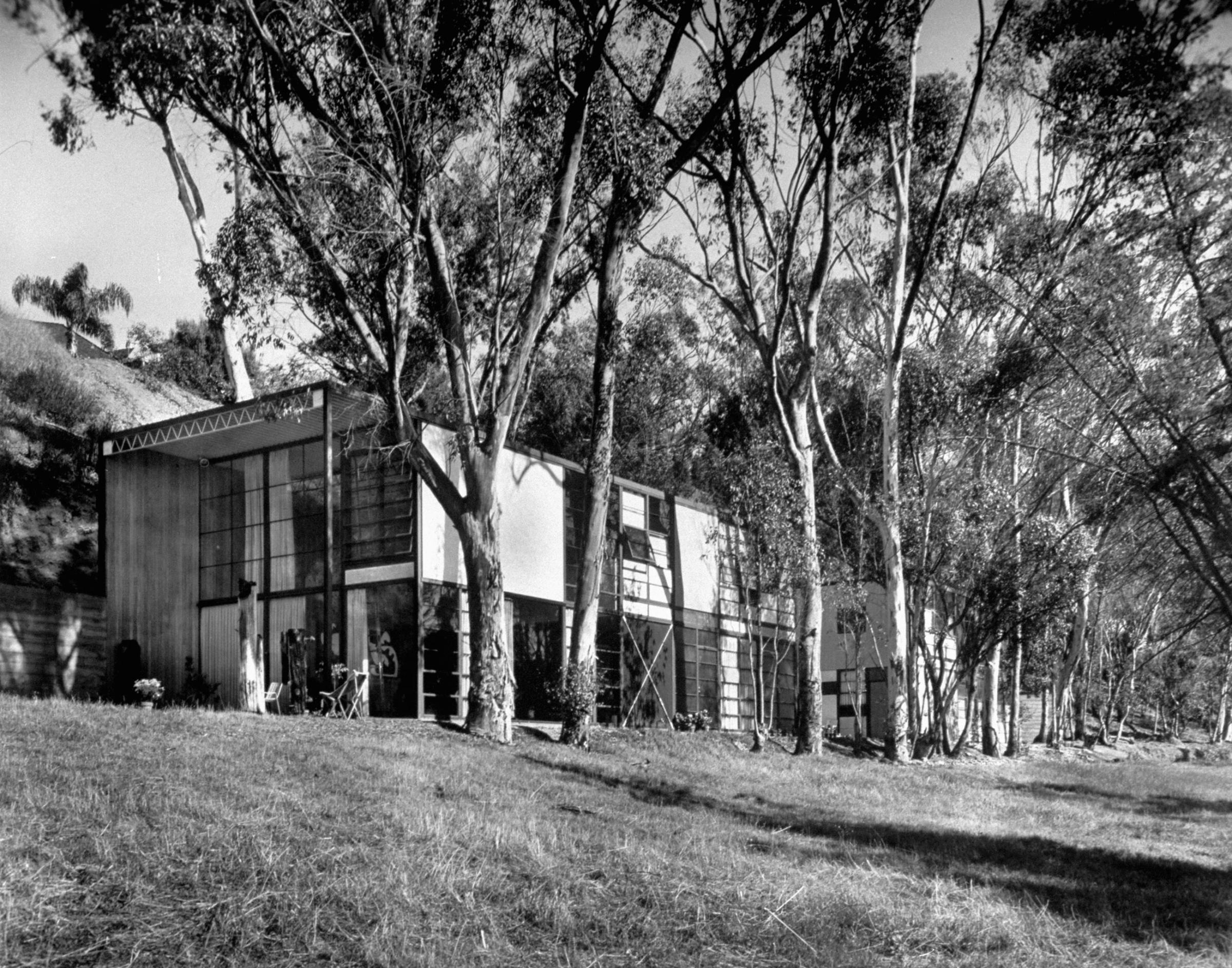 Exterior view of Eames' house shows how it nudges into a hillside, is fronted by eucalyptus trees. The studio-office is at right, joined to house by a patio.