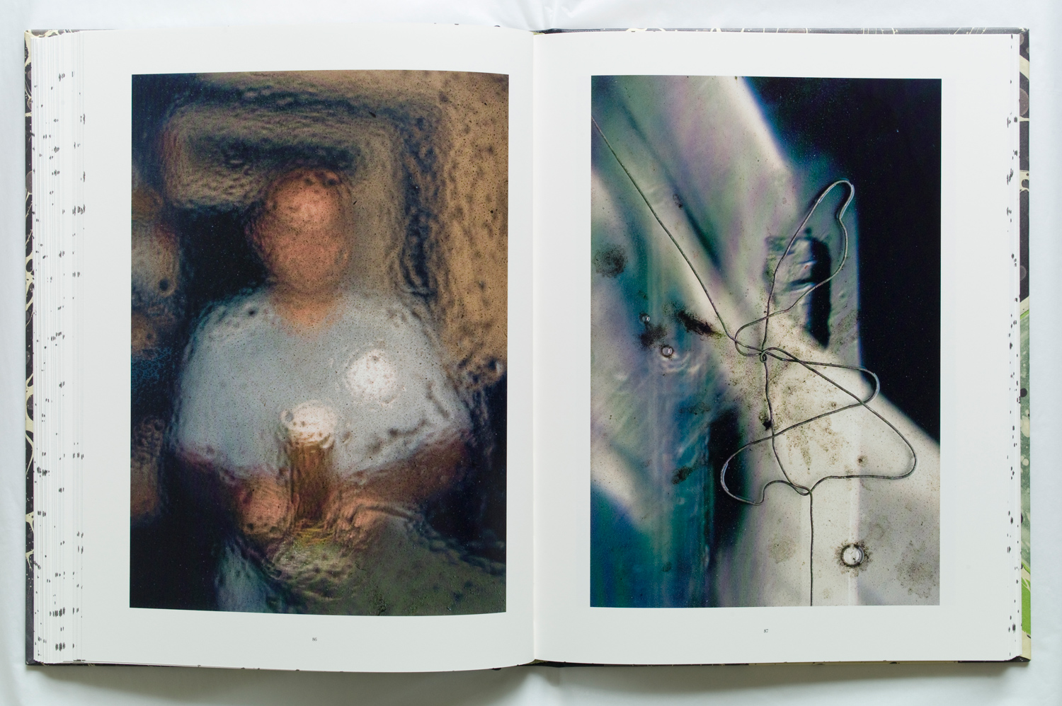 Pages are from Stephen Gill's latest book Coexistence.