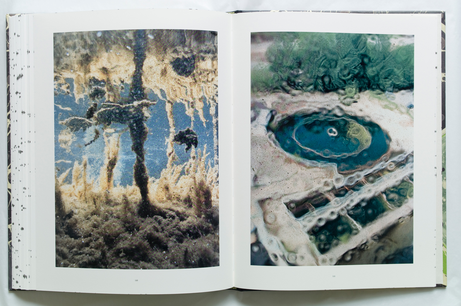 Pages are from Stephen Gill's latest book Coexistence.