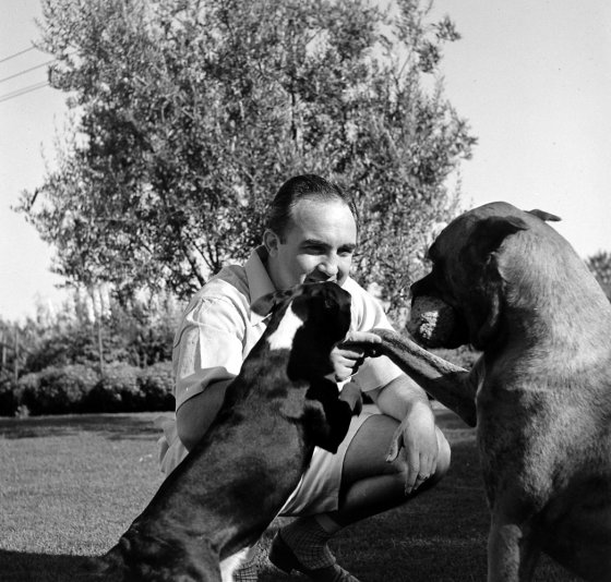 Gangster Mickey Cohen plays with dogs at home in Los Angeles, 1949.
