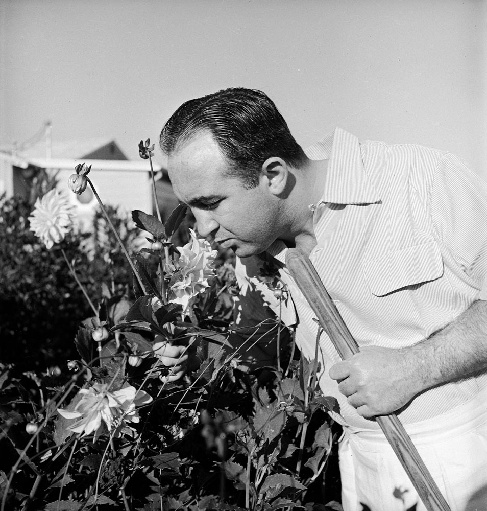 Gangster Mickey Cohen smells flowers at home in Los Angeles, 1949.