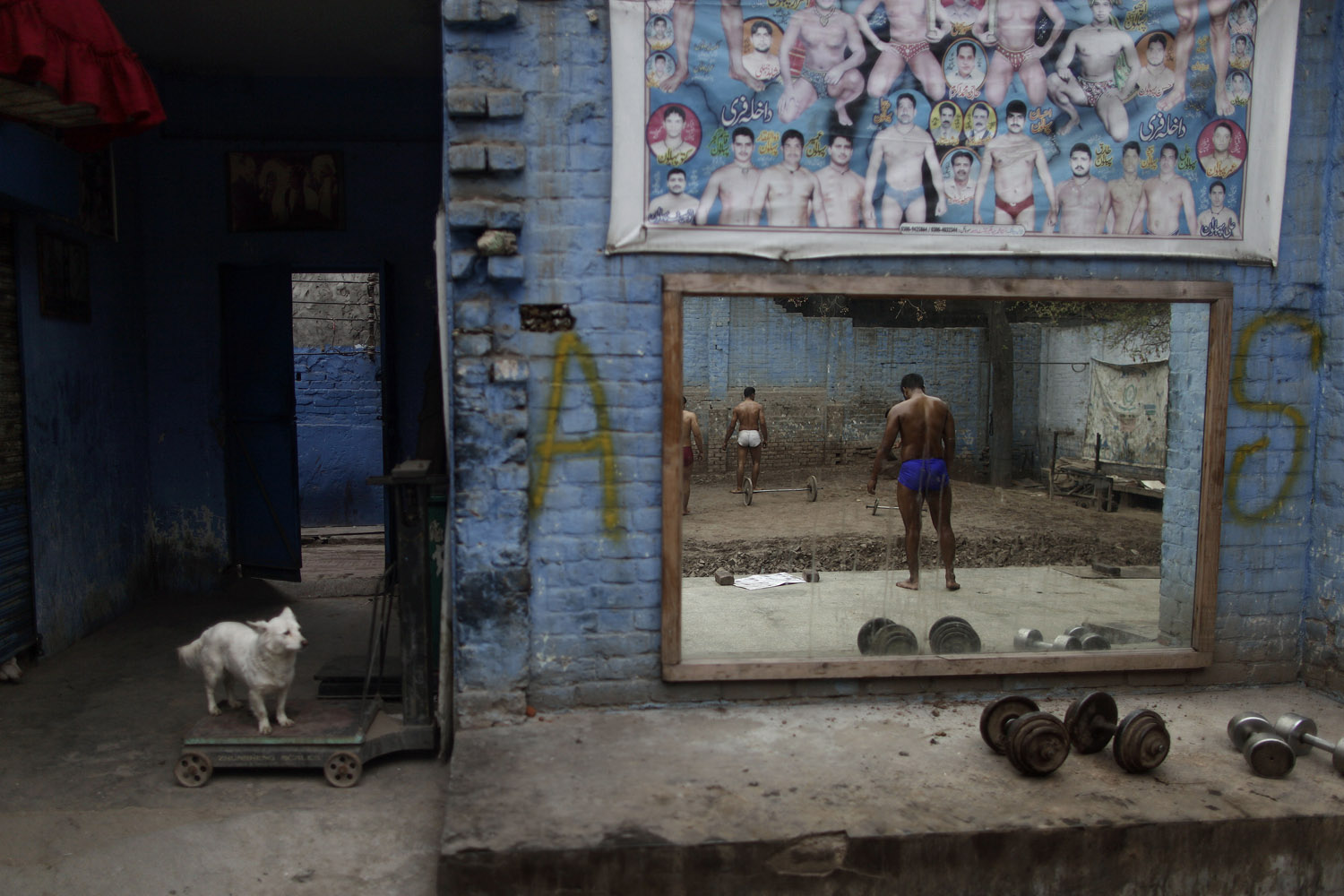 Feb. 26, 2013. A dog looks at Pakistani Kushti wrestlers, right, reflected on a mirror, attend their daily training session in Lahore, Pakistan.