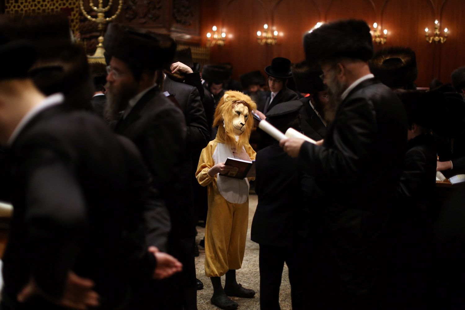 Feb. 24, 2013. Ultra-Orthodox Jewish men and a boy in a lion's costume read from the Scroll of Esther during the Purim festival at a synagogue in the neighborhood of Mea Shaarim in Jerusalem, Israel.
