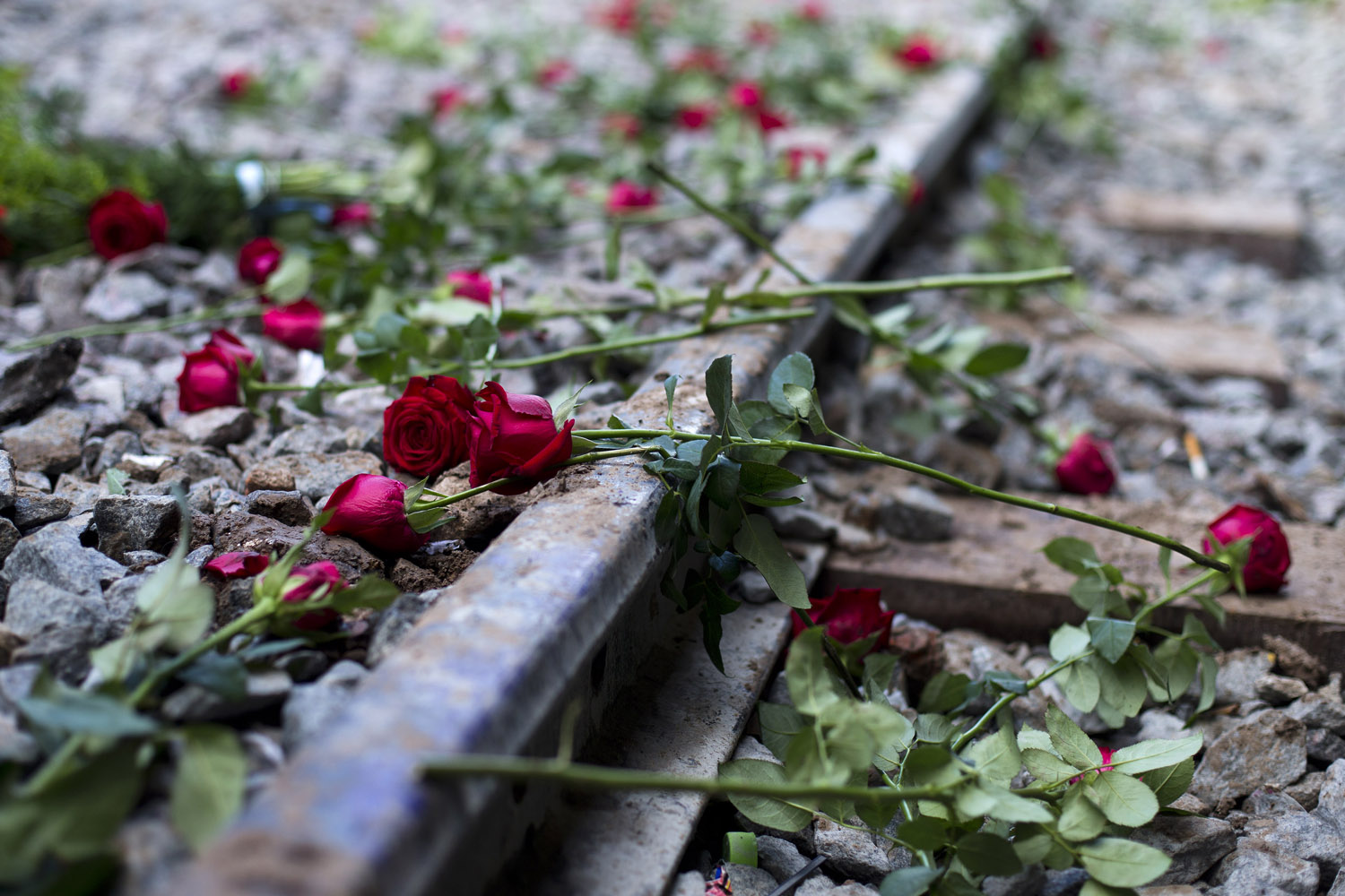 Feb. 22, 2013. Roses grace train tracks, thrown on the tracks by crash victims' relatives, during the one-year anniversary ceremony of a train crash at the Once train station in Buenos Aires.