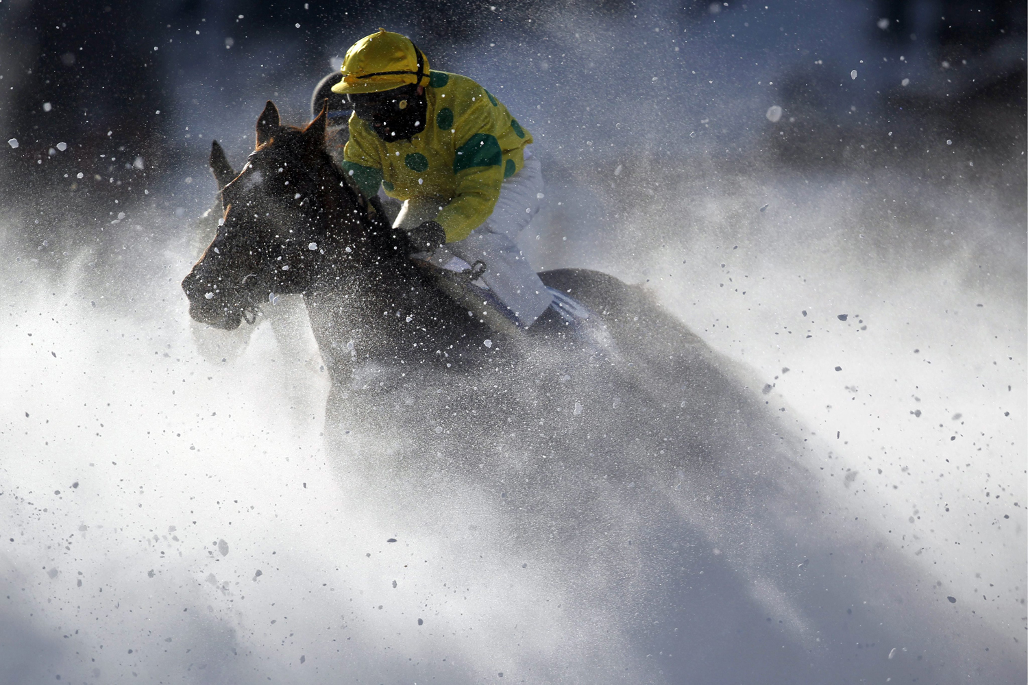 White Turf races in St. Moritz