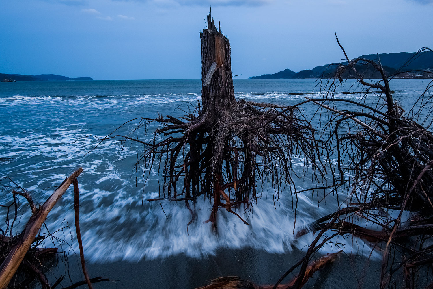Потрясе о. Пень на берегу. Хаос в природе. Пень на пляже. Фото хаос в природе.