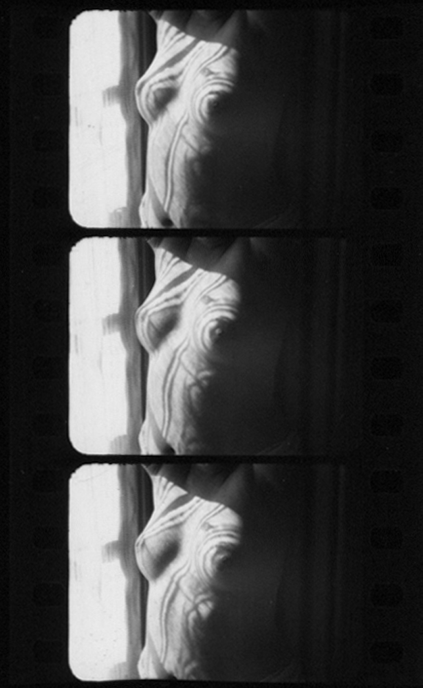 Nude, Undated Contact Print