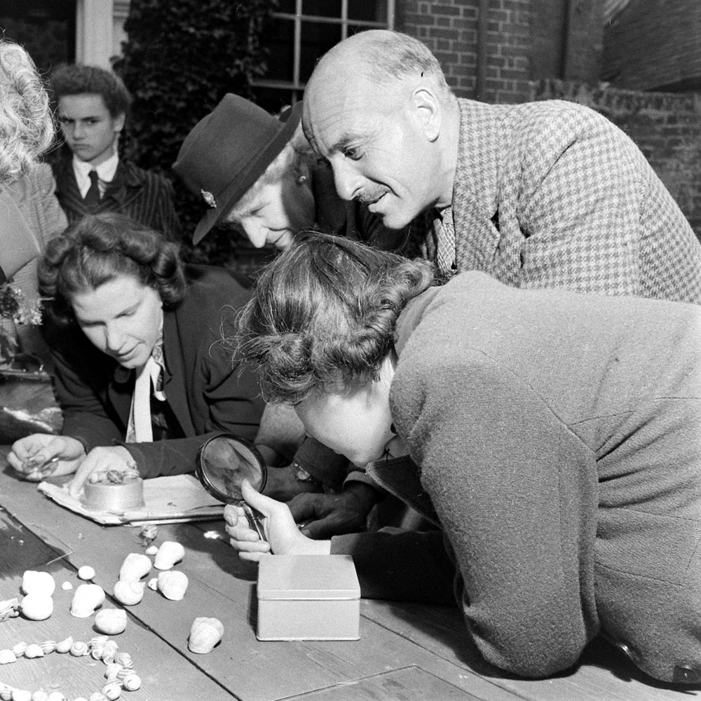 British Snail-Watching Society, 1946.