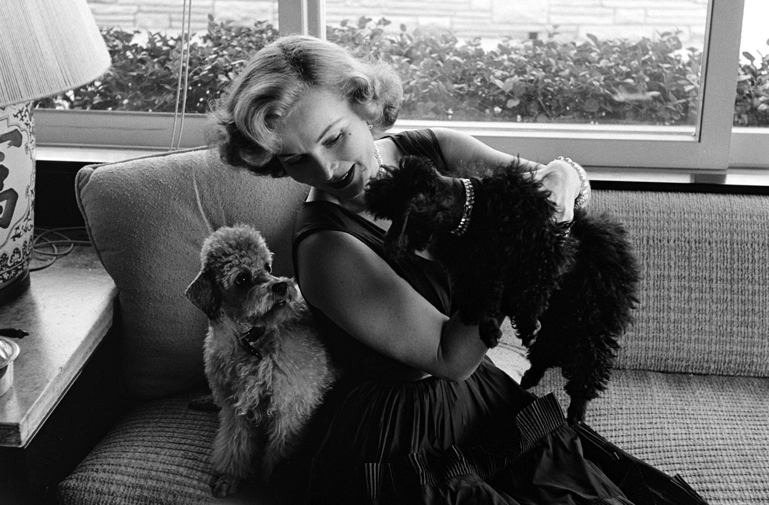 Zsa Zsa Gabor with her dogs, Harvey Hilton (grey) and Farouk (black), California, 1951.