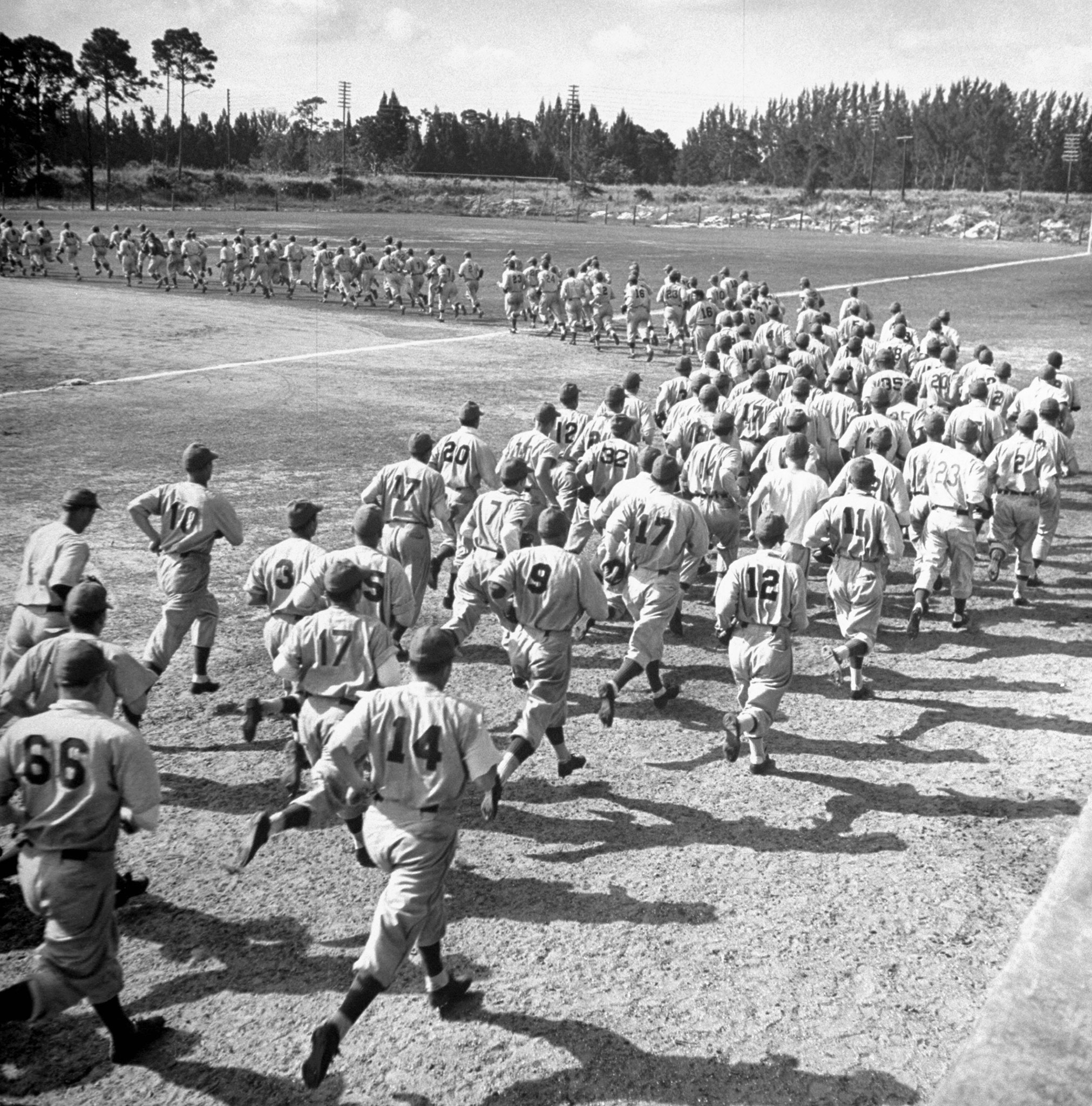 Dodger prospects, Dodgertown, Fla., 1948.