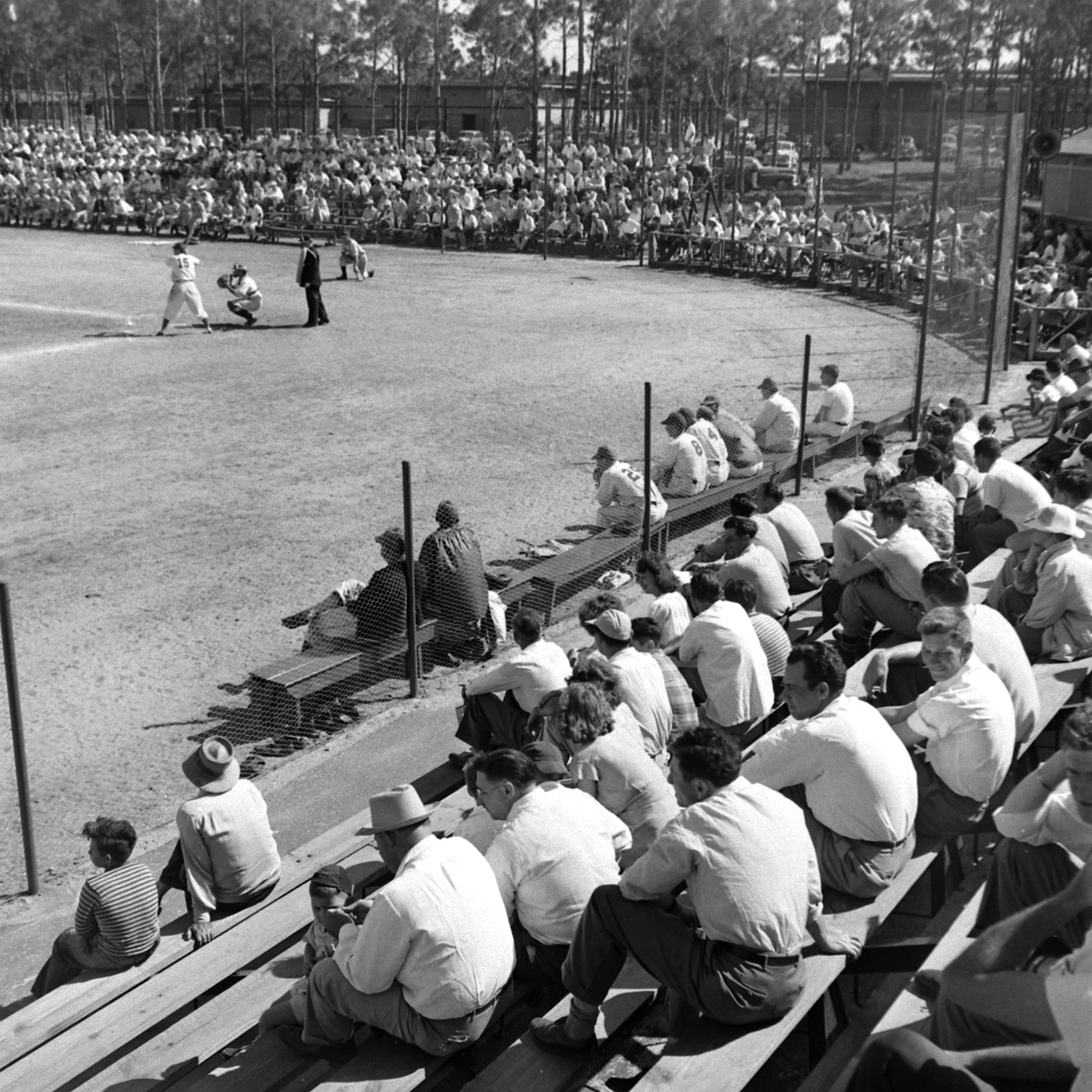 Brooklyn Dodger rookies and prospects in a spring training scrimmage, Vero Beach, Fla., 1948.