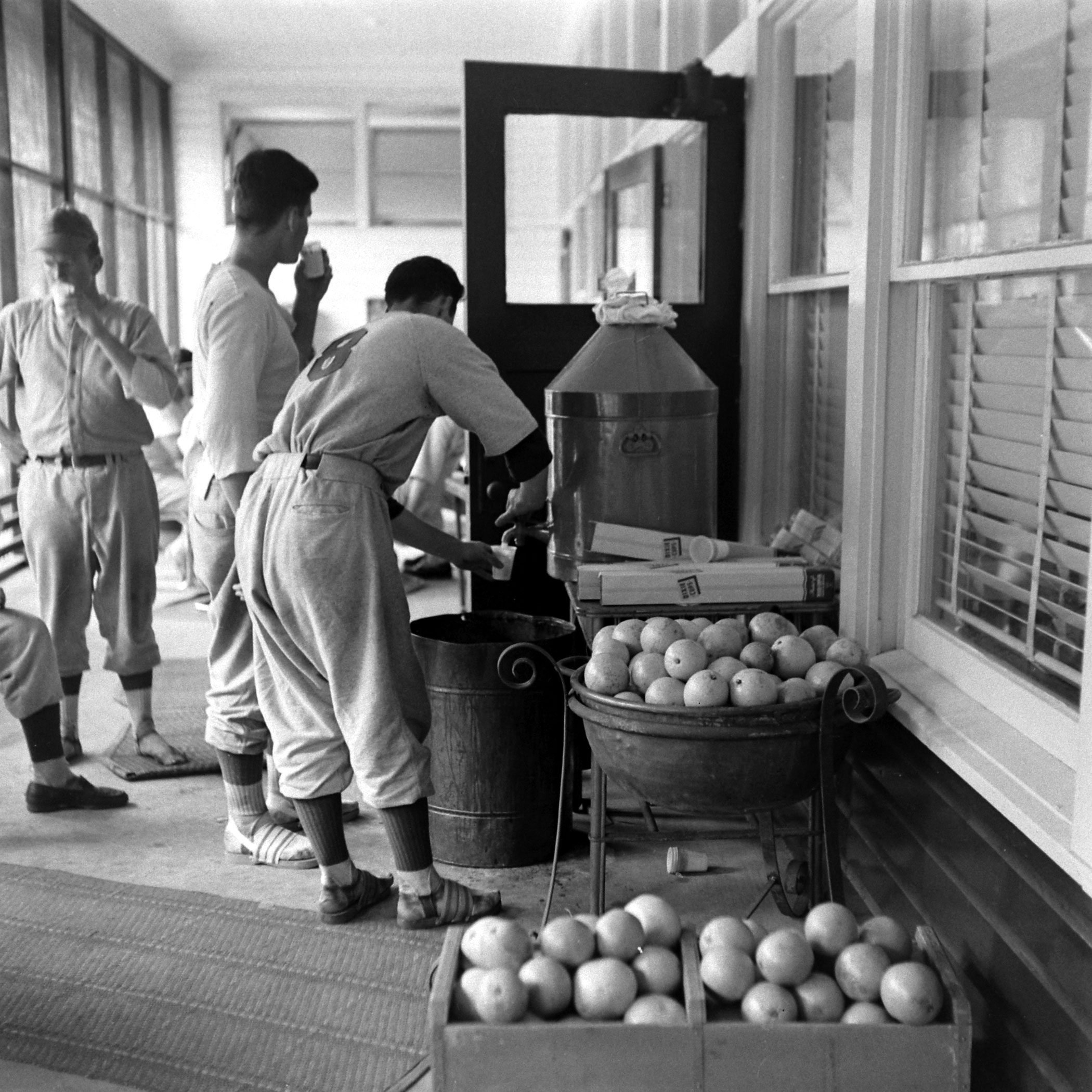 Players drink fresh orange juice during spring training at Dodgertown, Vero Beach, Fla., 1948.