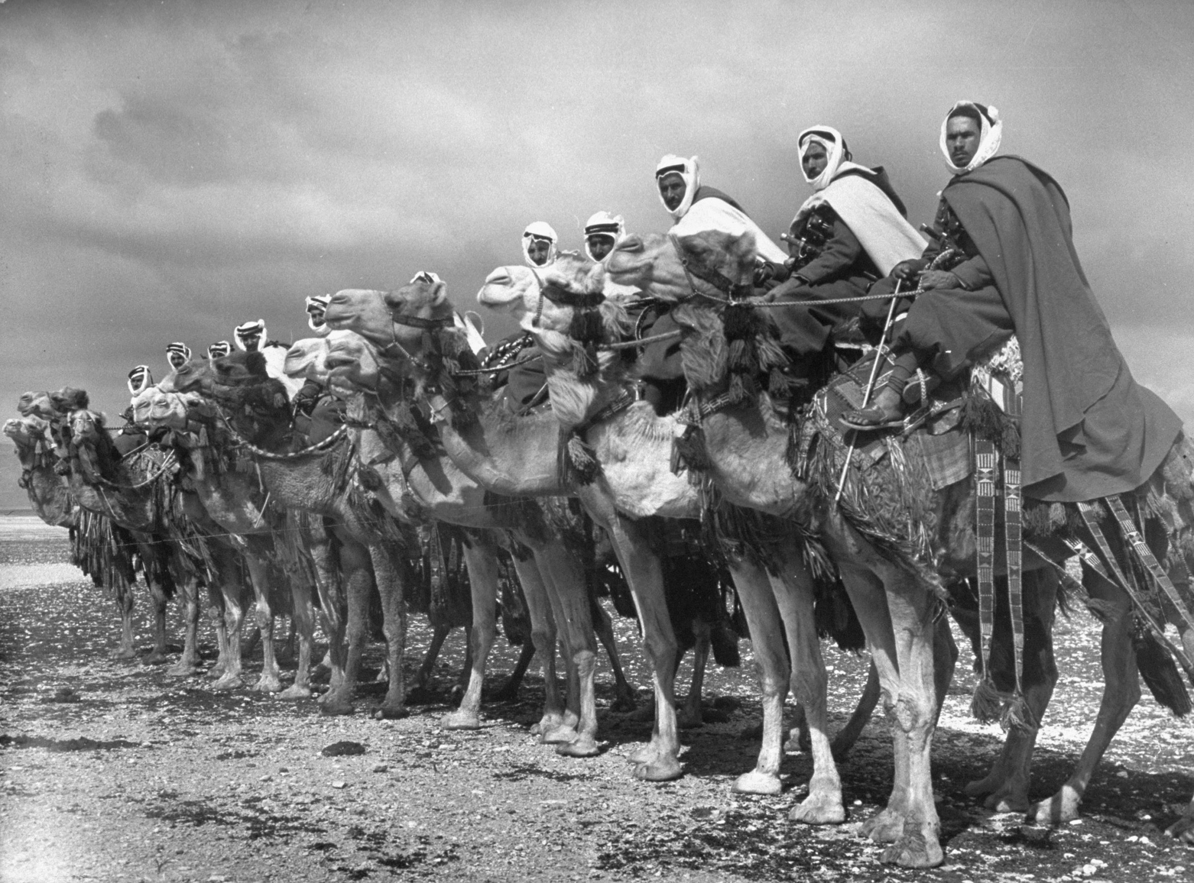 Members of the Bedouin "camel cavalry" near Damascus, Syria, 1940.