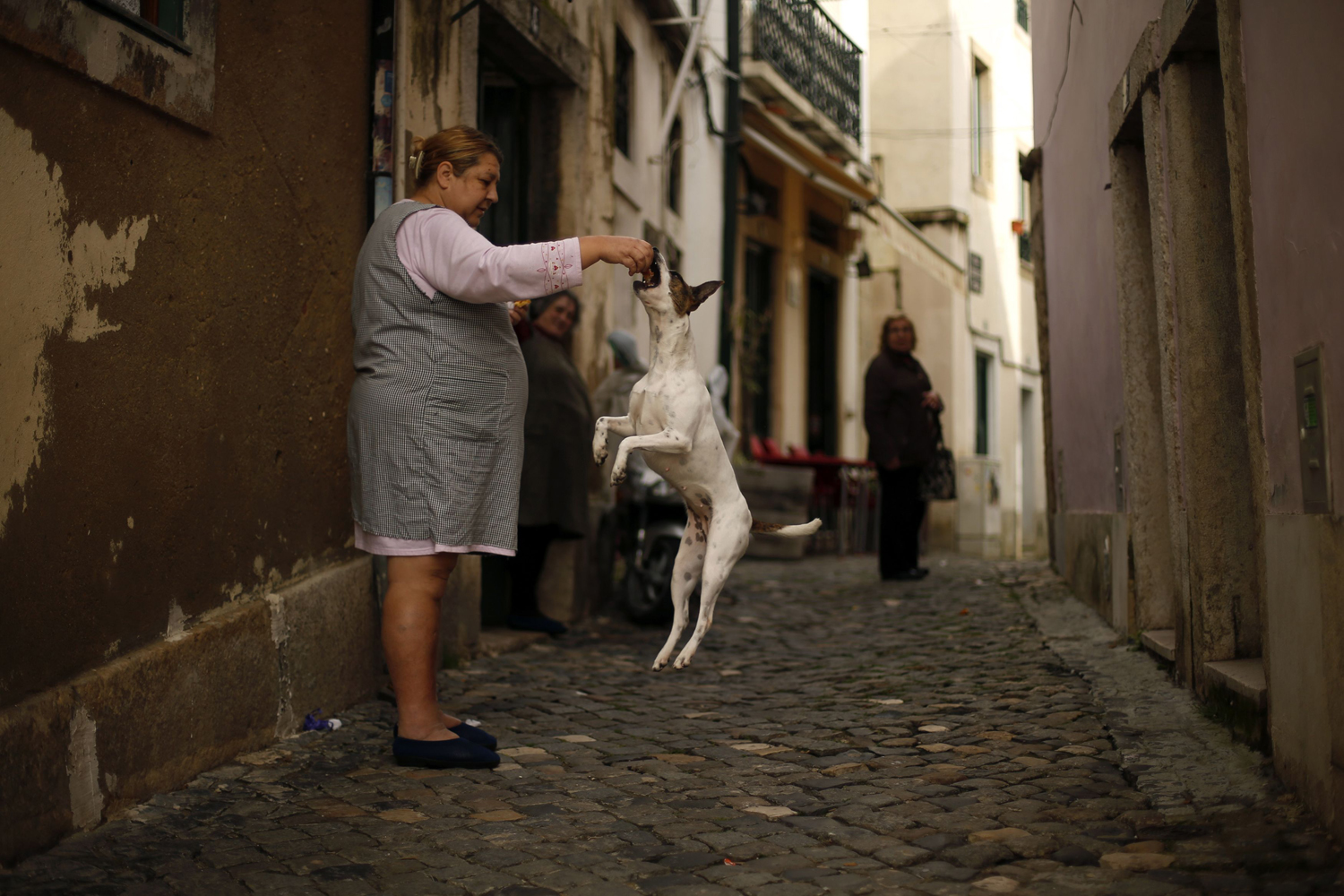 A woman displays her dog's skills to her neighbours at the Alfama neighborhood in Lisbon