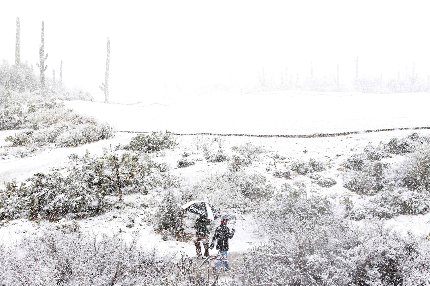 Golf spectators look for cover as snow forces suspension of play during the first round of the WGC-Accenture Match Play Championship golf tournament in Marana