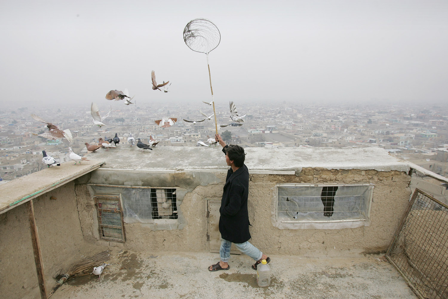Feb. 25, 2013. An Afghan man flies his pigeons over a rooftop in Kabul, Afghanistan.