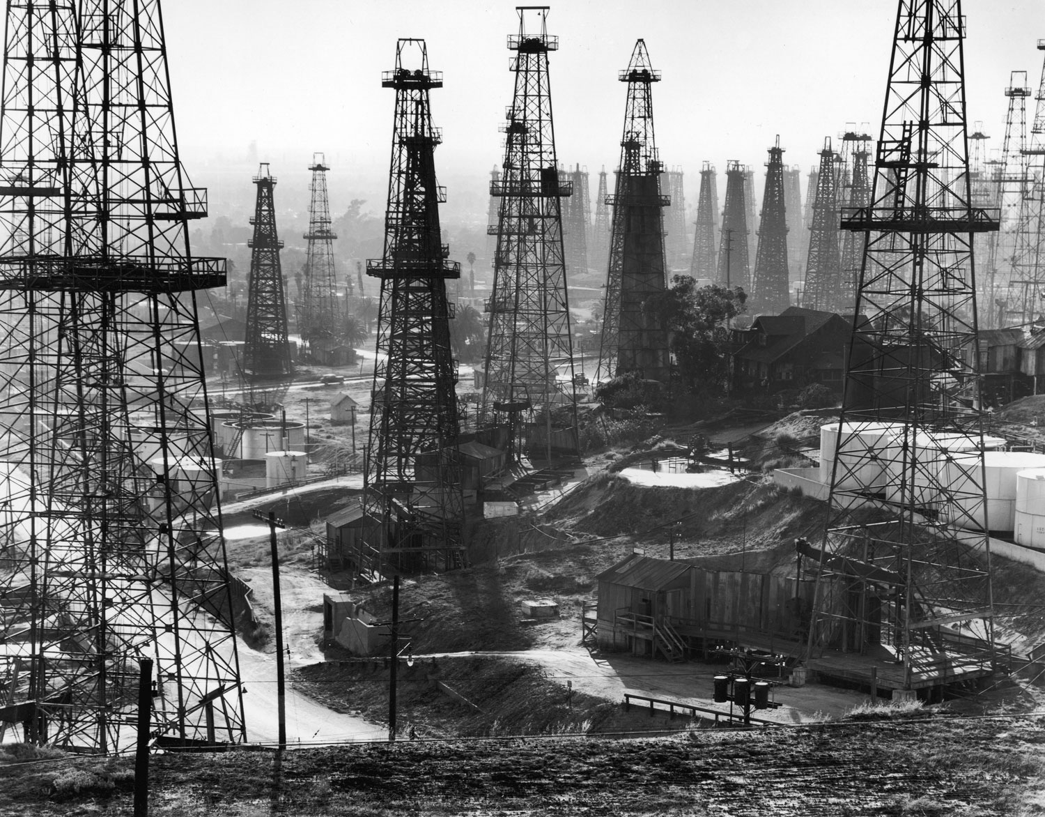A forest of wells, rigs and derricks crowd the Signal Hill oil fields in Long Beach, Calif., 1944.