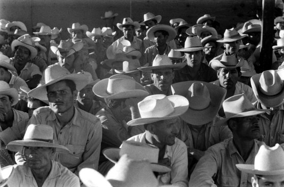 Crowd of Mexican 