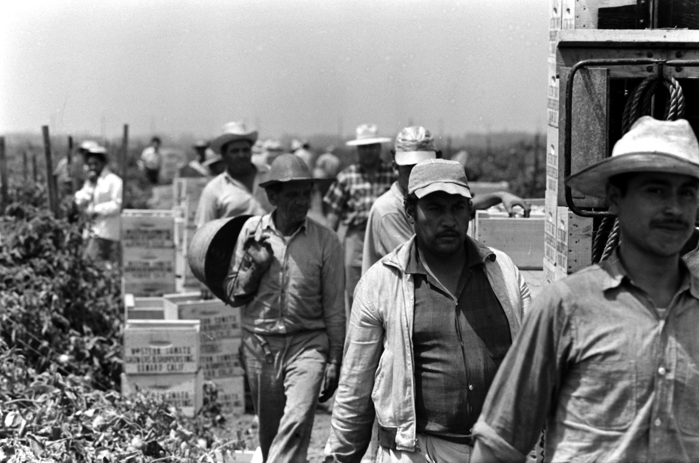 Migrant farm workers, USA, 1959.