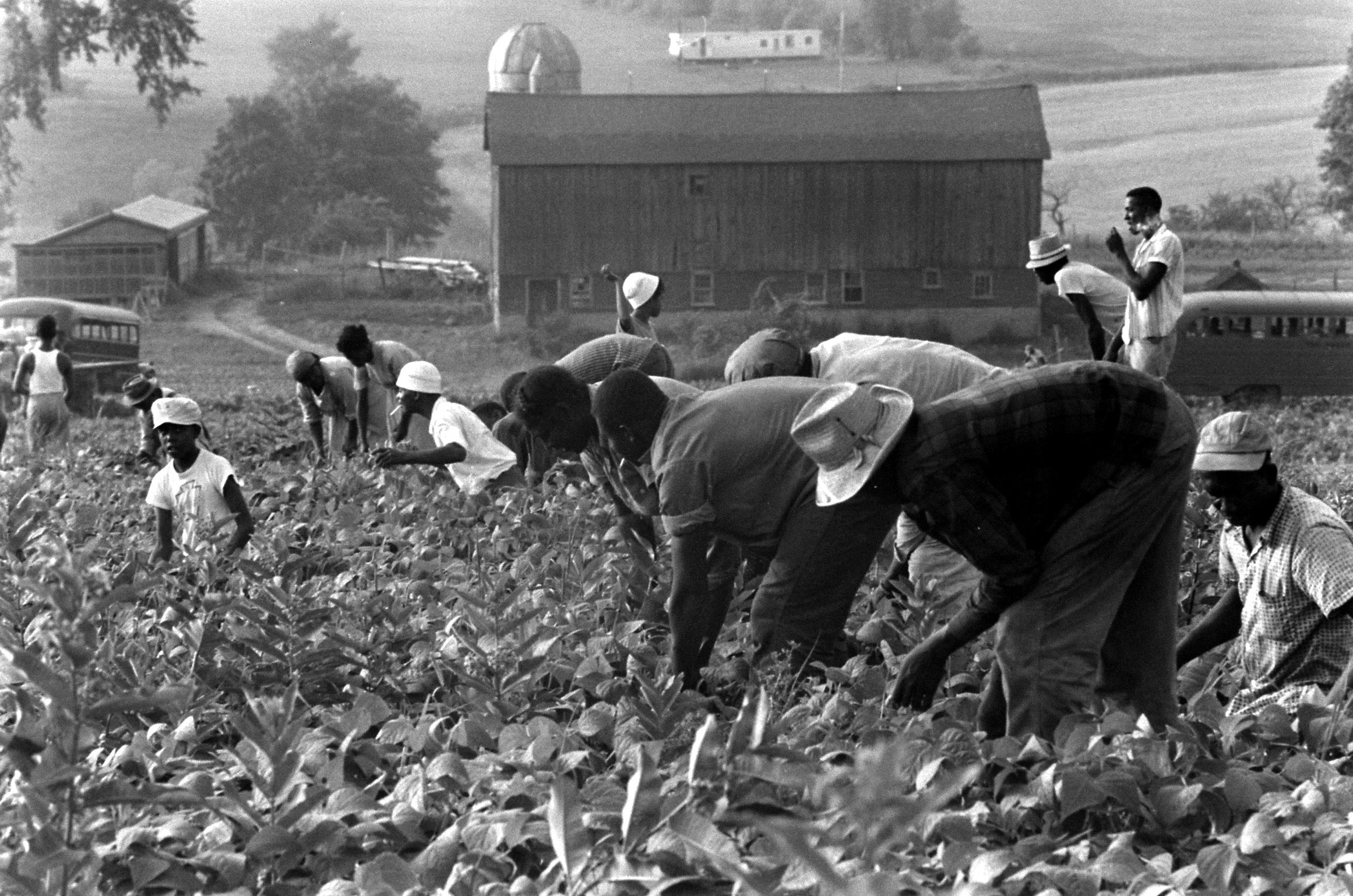 Migrant laborers, USA, 1959.