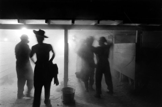 Migrant farm workers sprayed with unidentified chemical after day's work, USA, 1959.