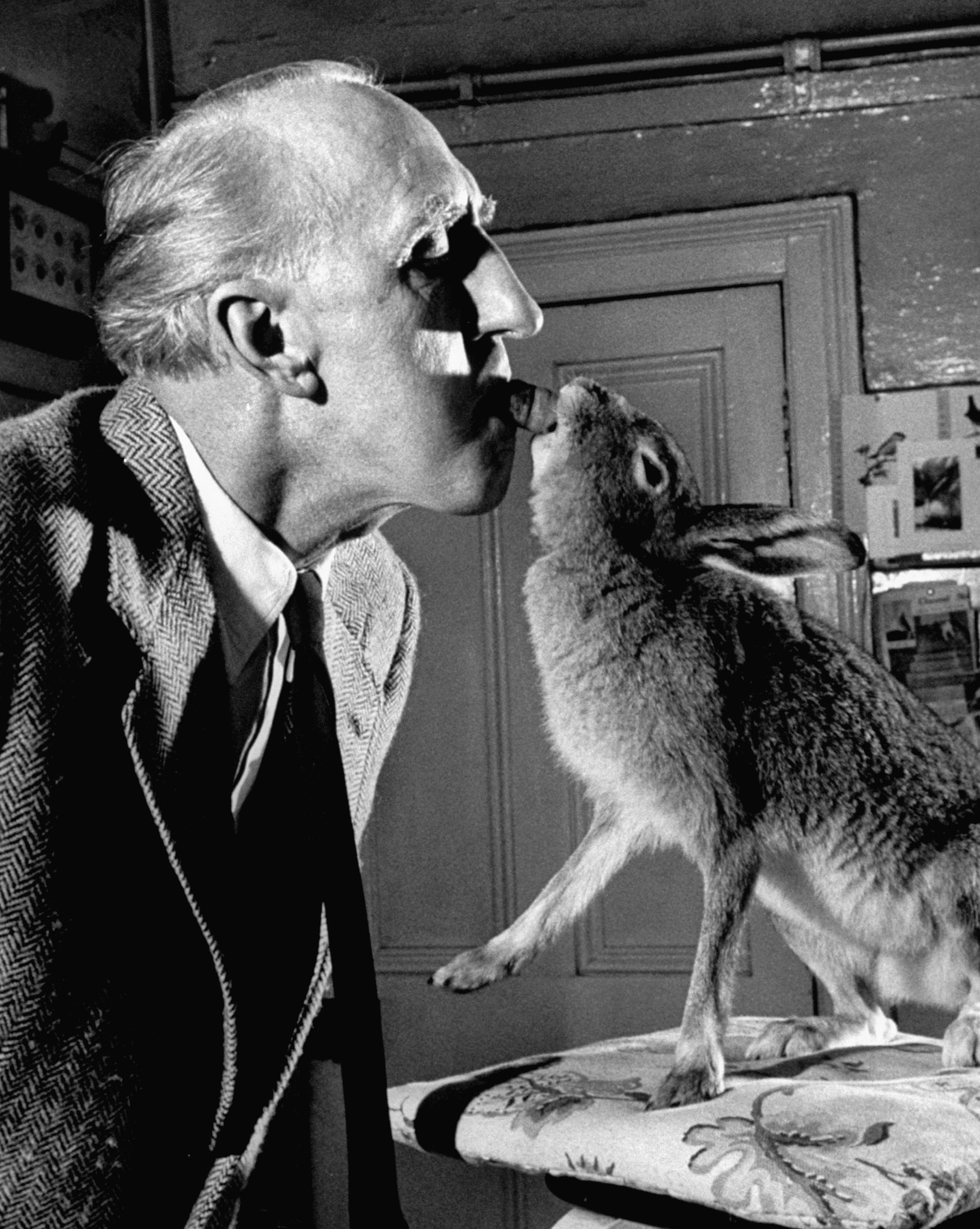 Cecil S. Webb, director of the Dublin Zoo, with Horace the hare