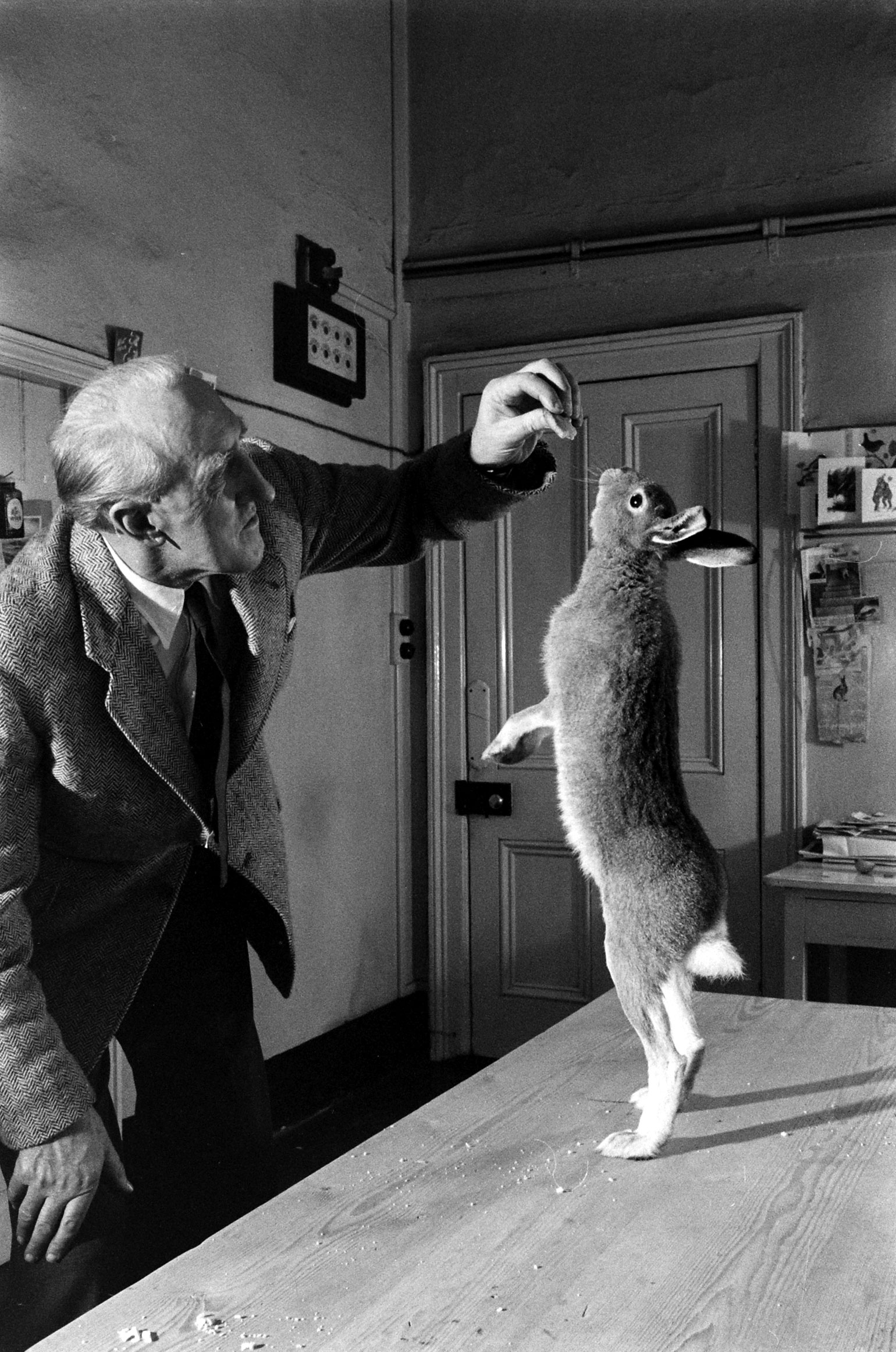 Horace the hare and Cecil S. Webb, director of the Dublin Zoo, 1956.