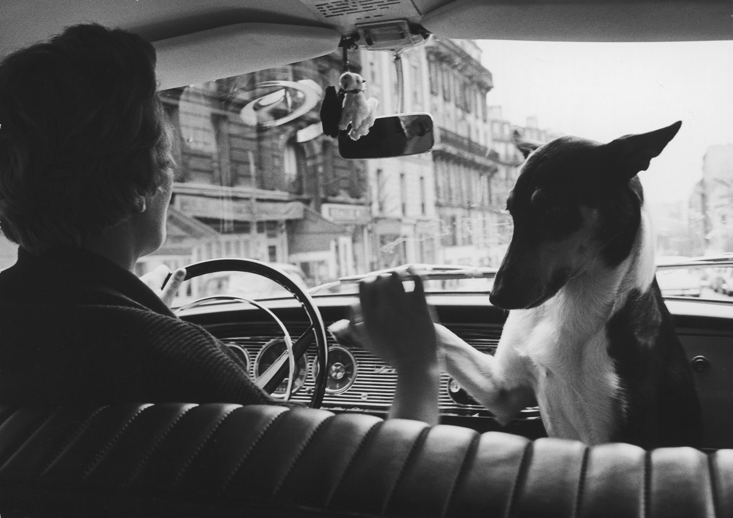 Woman taxi driver sharing front seat with pet dog, Paris, 1963.