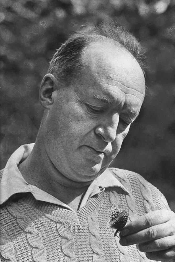 Vladimir Nabokov looks at a butterfly, Ithaca, N.Y., 1958.