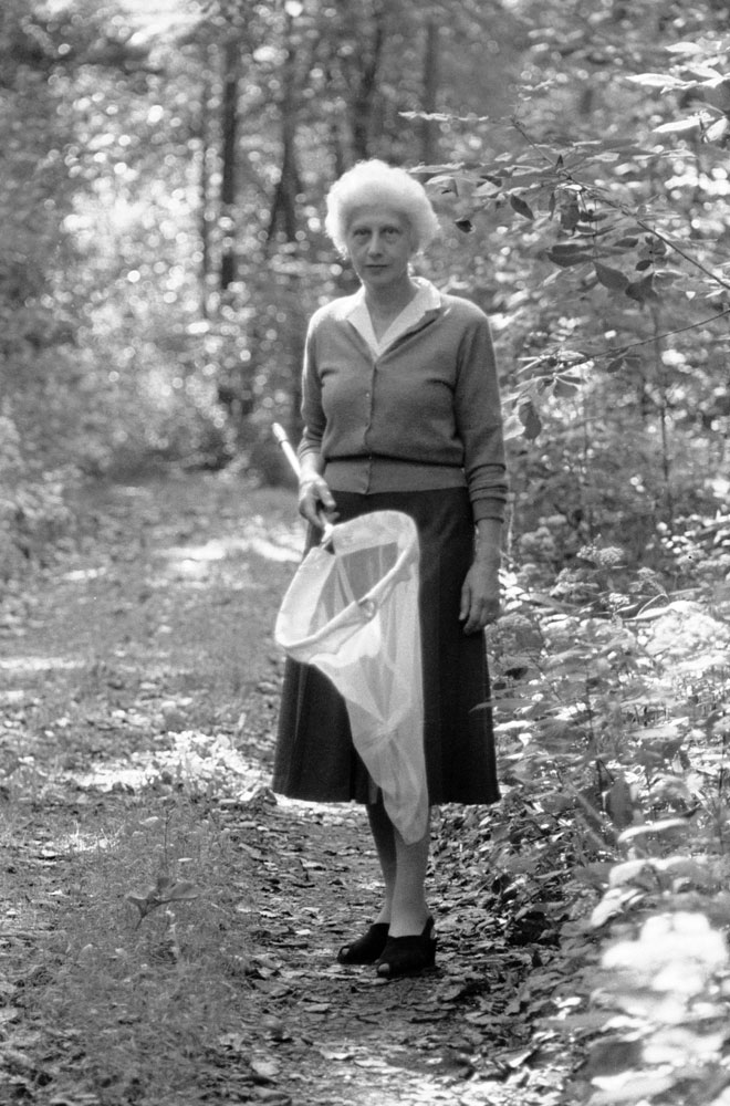 Vera Nabokov, wife of Vladimir Nabokov, with a butterfly net, Ithaca, N.Y., 1958.
