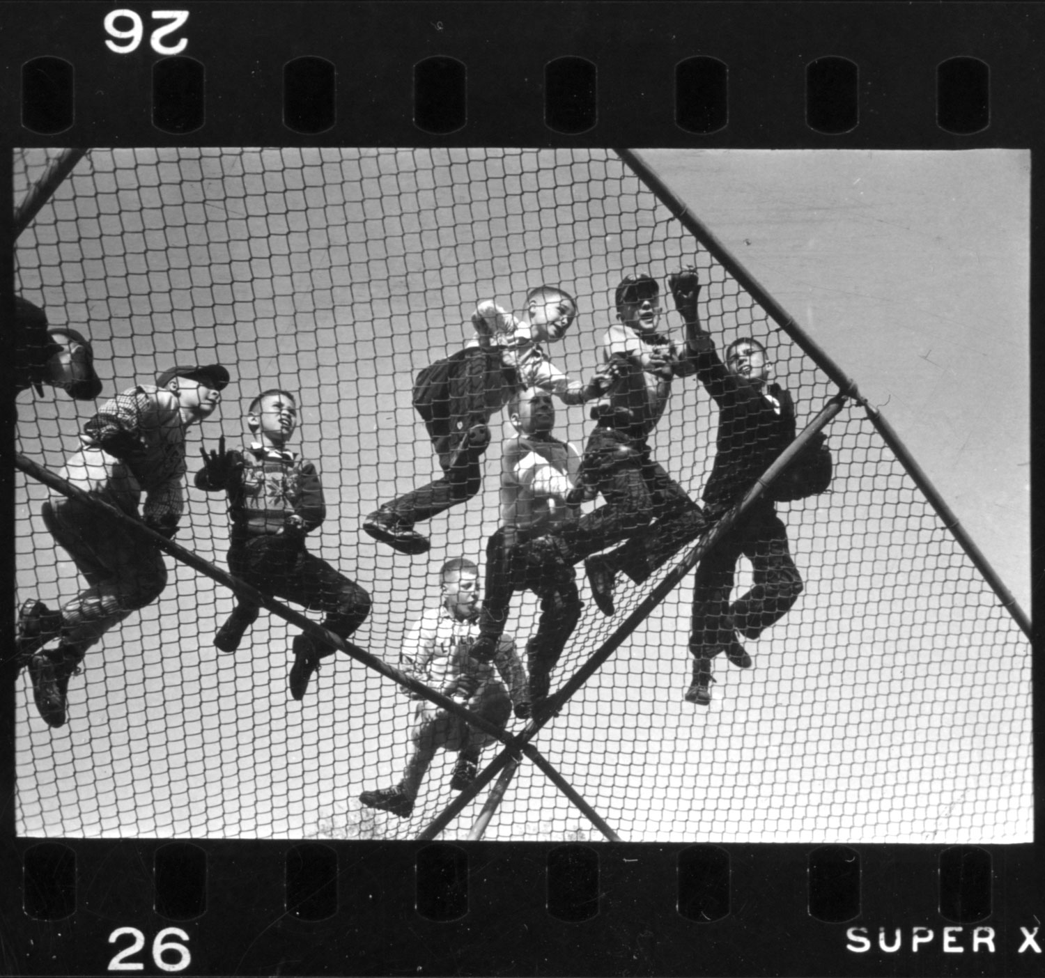 Kids climb on a backstop, 1954.