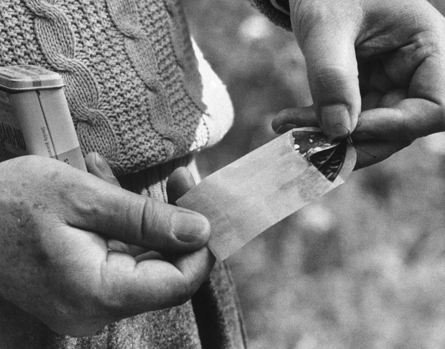 Vladimir Nabokov puts a butterfly into an envelope, Ithaca, N.Y., 1958.