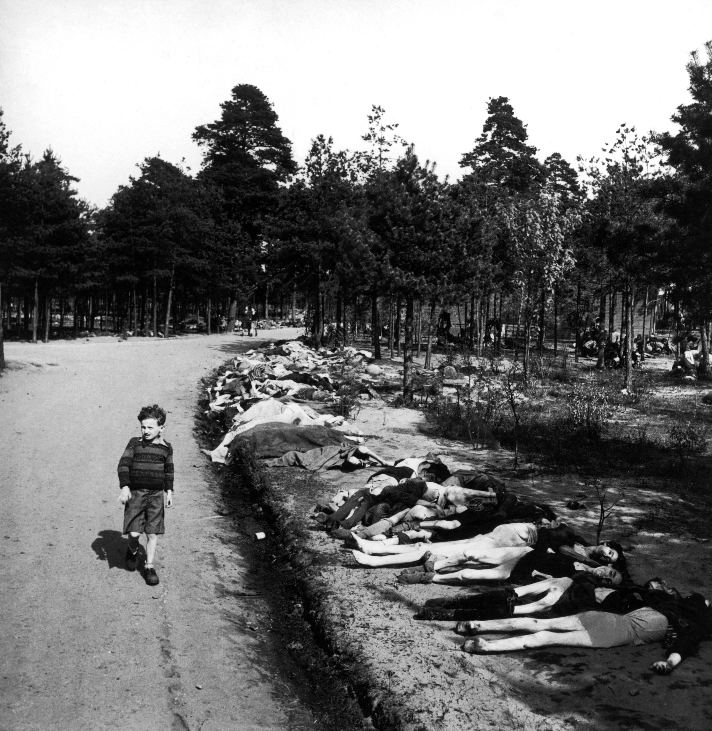A small boy strolls down a road lined with dead bodies near the Bergen-Belsen concentration camp, 1945.