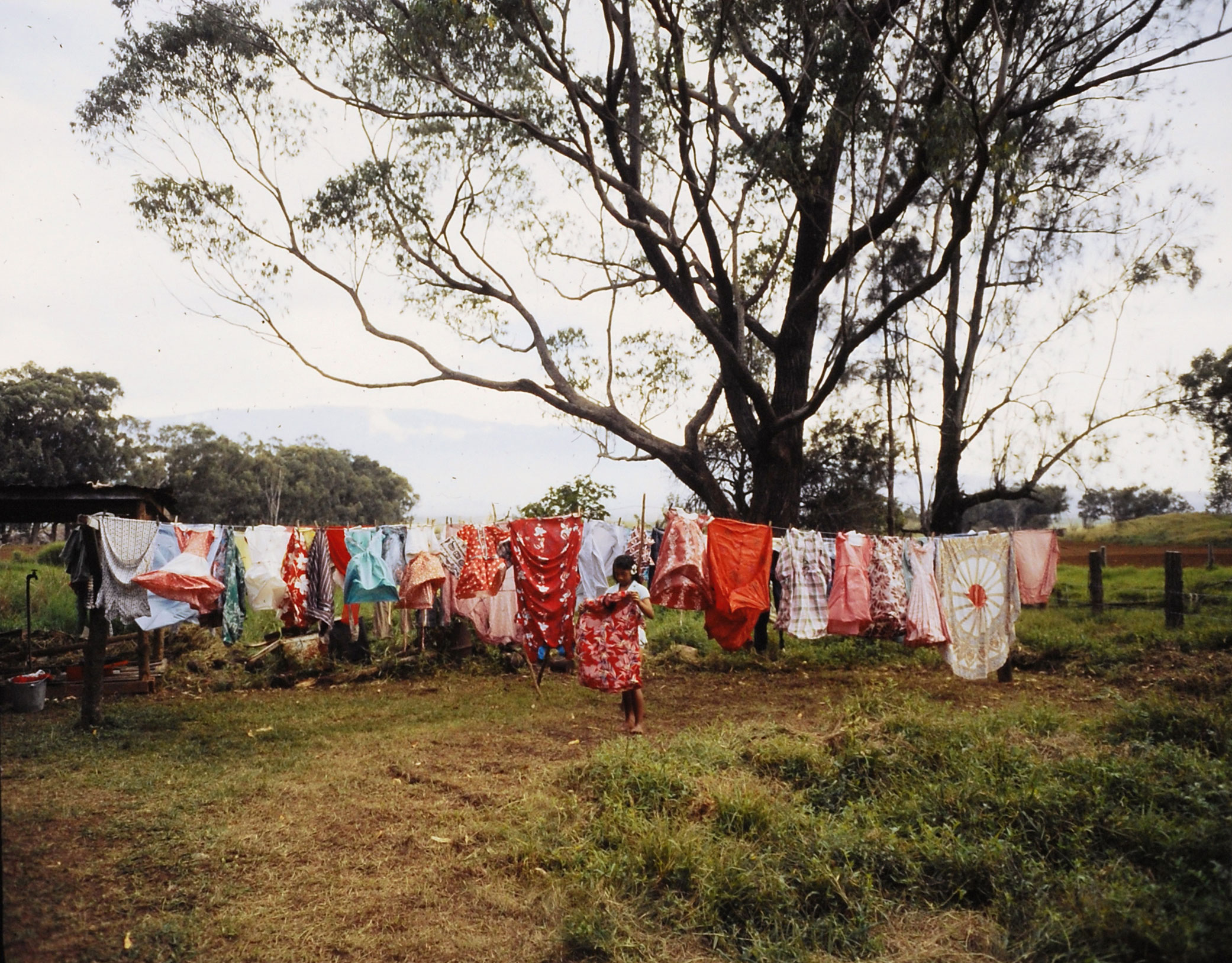 Washing hung out to dry, Hawaii, 1959.
