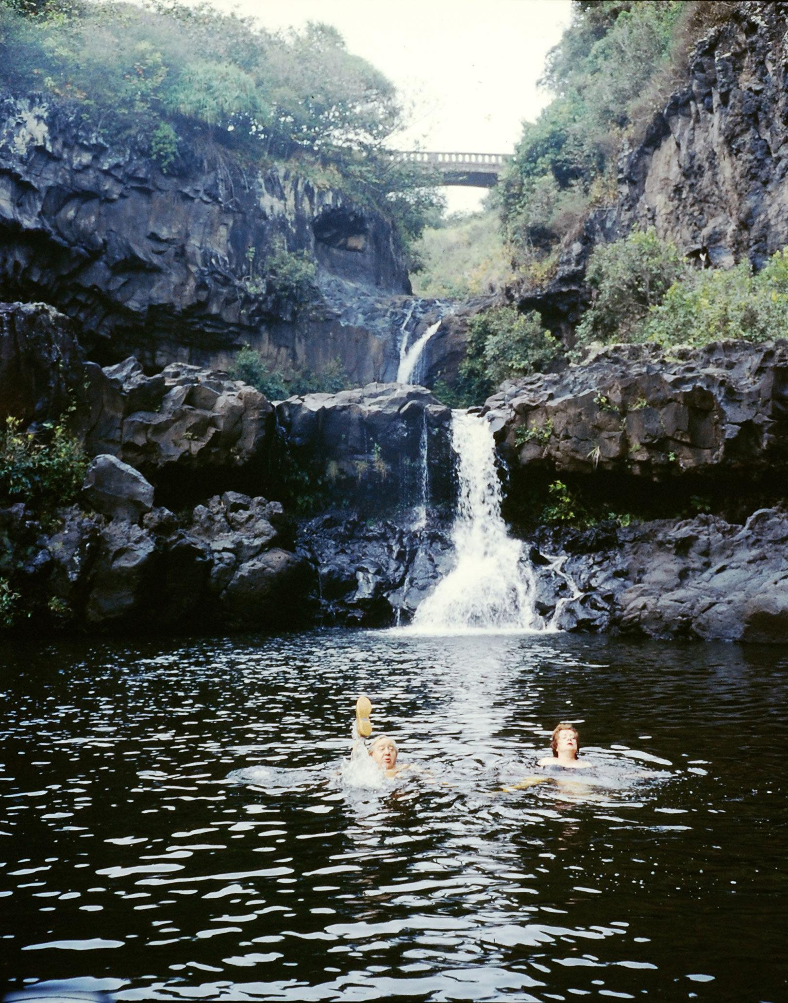 Swimming in a freshwater pool, Hawaii, 1959.